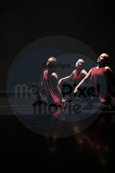 Dorothy Stringer Show - Image 3717