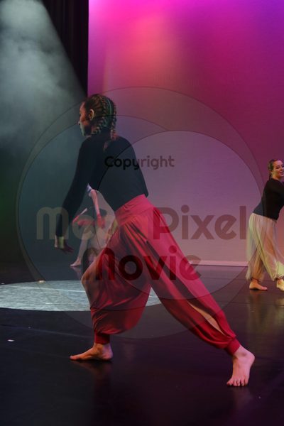 Dorothy Stringer Show - Image 6132