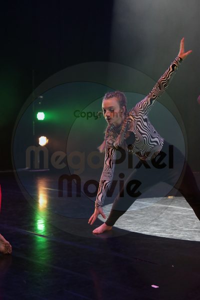 Dorothy Stringer Show - Image 6149