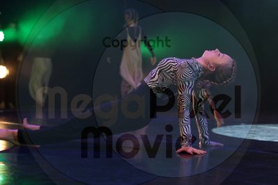 Dorothy Stringer Show - Image 6163