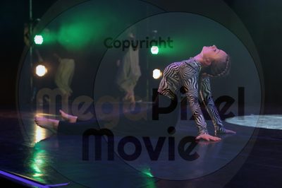 Dorothy Stringer Show - Image 6164