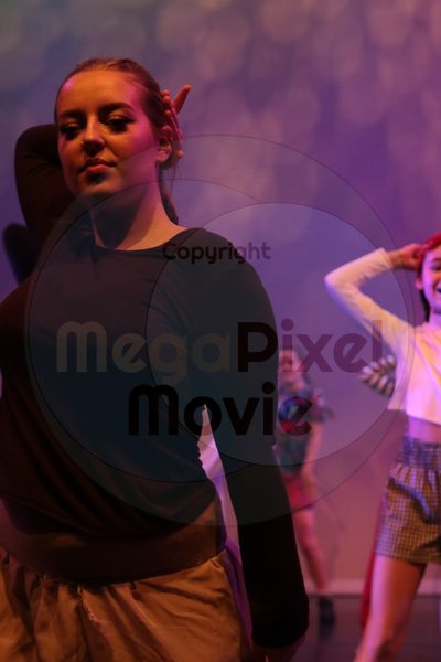 Dorothy Stringer Show - Image 6239