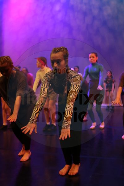 Dorothy Stringer Show - Image 6260