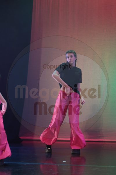 Dorothy Stringer Show - Image 3305