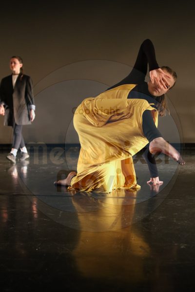 Dorothy Stringer Show - Image 9593