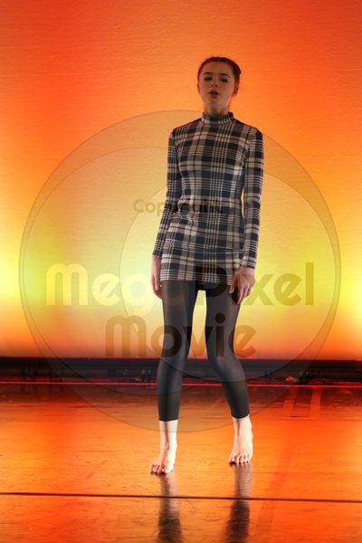 Dorothy Stringer Show - Image 9639