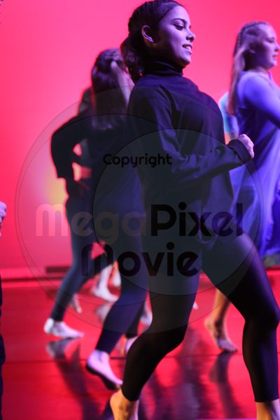 Dorothy Stringer Show - Image 4724