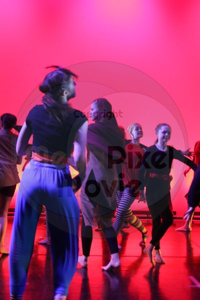 Dorothy Stringer Show - Image 4738