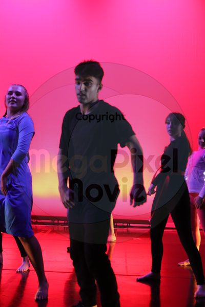 Dorothy Stringer Show - Image 4749