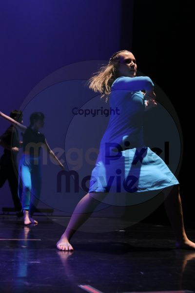 Dorothy Stringer Show - Image 5094