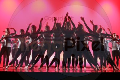 Dorothy Stringer Show - Image 8072