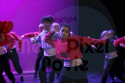 Dorothy Stringer Show - Image 5939