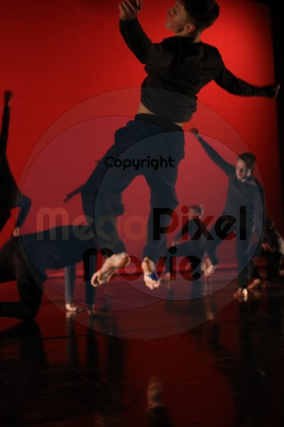 Dorothy Stringer Show - Image 6124
