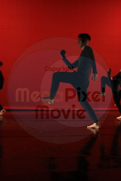 Dorothy Stringer Show - Image 6137