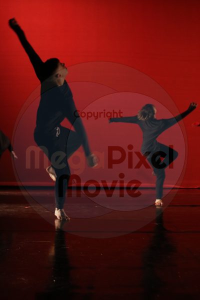 Dorothy Stringer Show - Image 6141