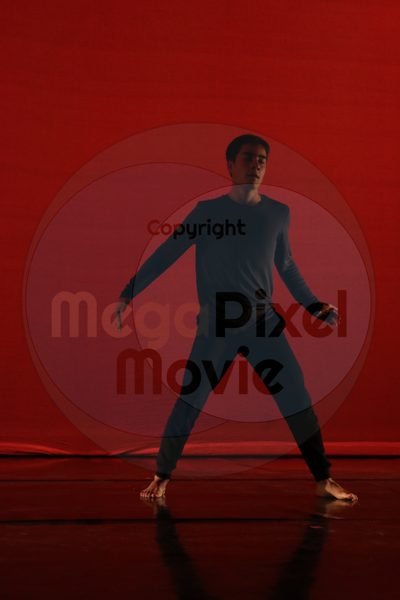 Dorothy Stringer Show - Image 6152