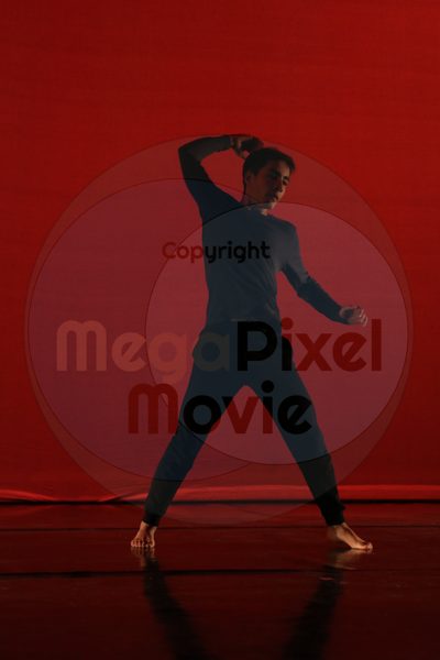 Dorothy Stringer Show - Image 6154