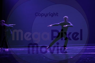 Dorothy Stringer Show - Image 6239