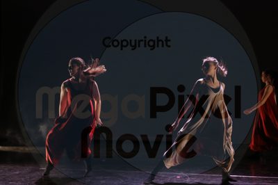 Dorothy Stringer Show - Image 6307