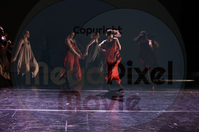 Dorothy Stringer Show - Image 6357