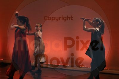 Dorothy Stringer Show - Image 6426