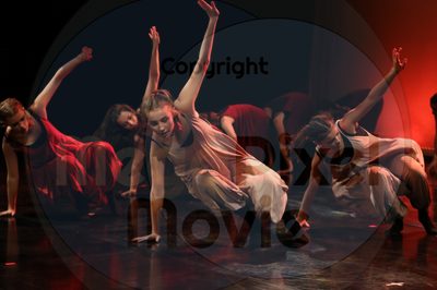 Dorothy Stringer Show - Image 6432