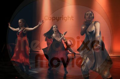 Dorothy Stringer Show - Image 6467