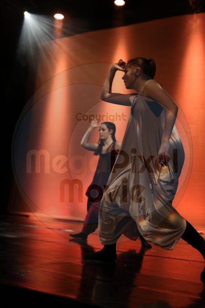 Dorothy Stringer Show - Image 6471