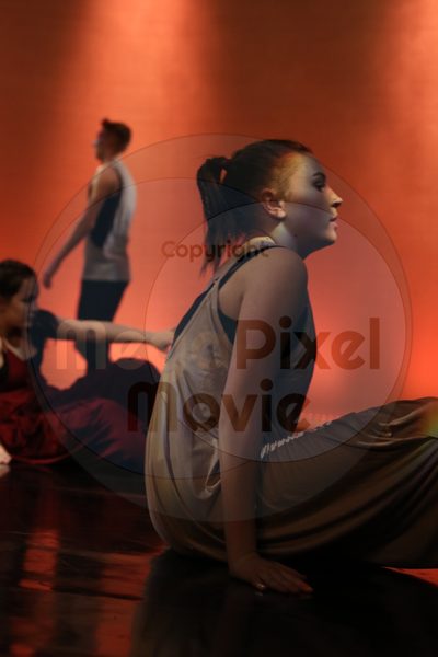 Dorothy Stringer Show - Image 6480