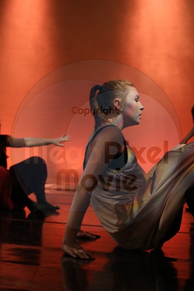 Dorothy Stringer Show - Image 6481