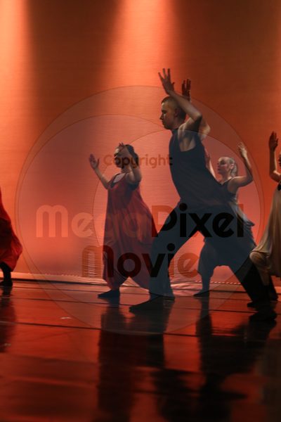 Dorothy Stringer Show - Image 6518