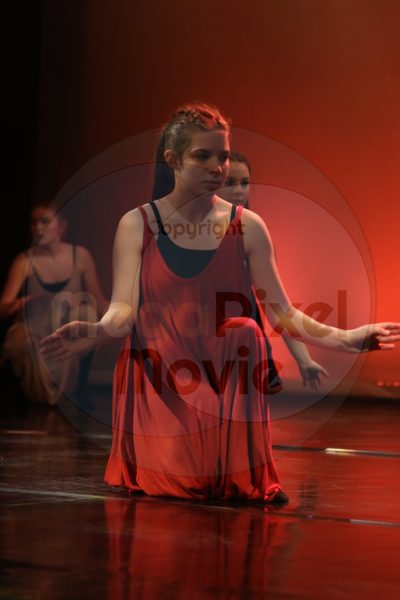 Dorothy Stringer Show - Image 6590
