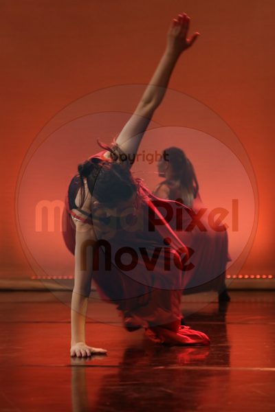 Dorothy Stringer Show - Image 6593