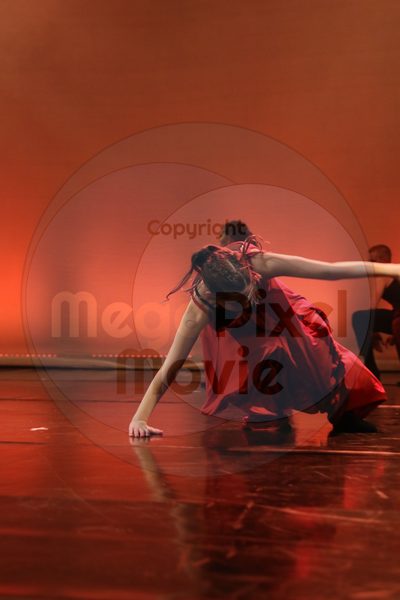 Dorothy Stringer Show - Image 6594