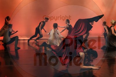 Dorothy Stringer Show - Image 6632