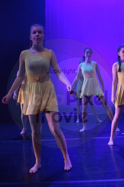 Dorothy Stringer Show - Image 3915