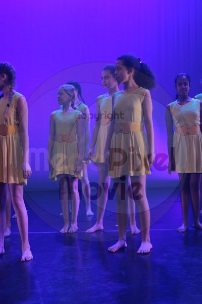 Dorothy Stringer Show - Image 3980