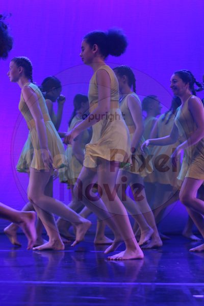 Dorothy Stringer Show - Image 40153