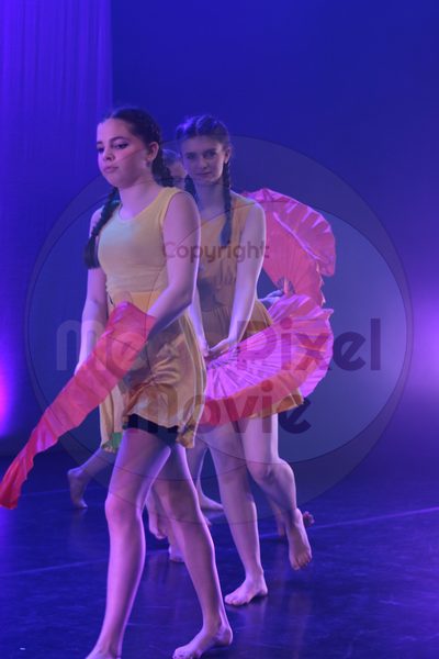 Dorothy Stringer Show - Image 40564