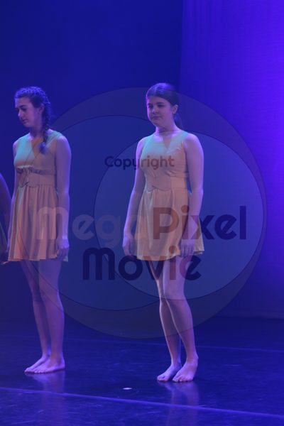 Dorothy Stringer Show - Image 40953