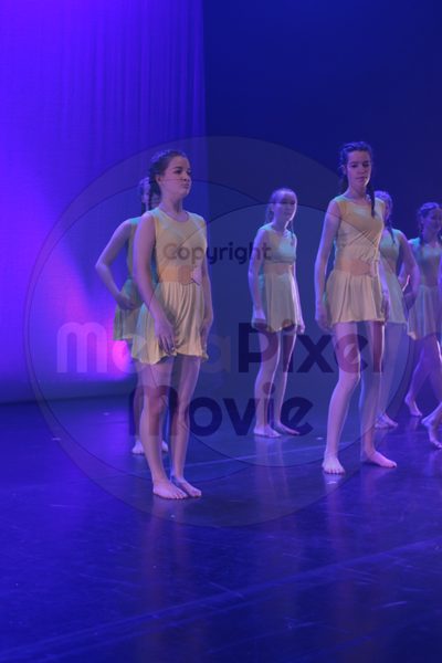 Dorothy Stringer Show - Image 4110