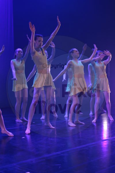 Dorothy Stringer Show - Image 41141