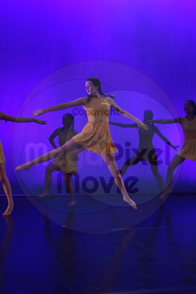 Dorothy Stringer Show - Image 4210