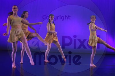 Dorothy Stringer Show - Image 42583