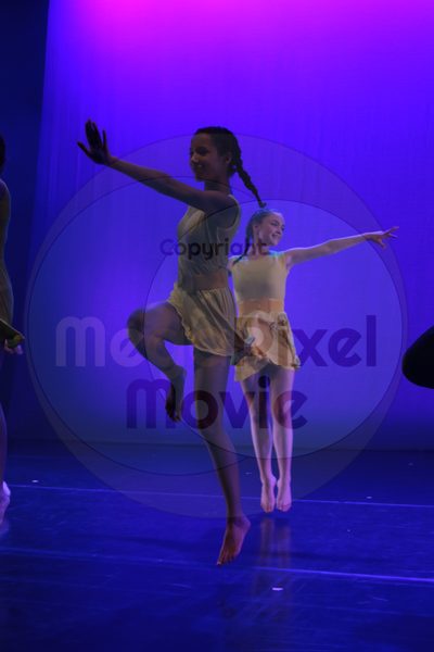 Dorothy Stringer Show - Image 4375