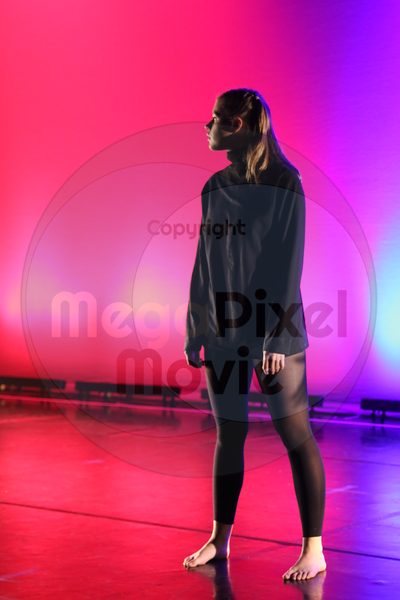 Dorothy Stringer Show - Image 5175