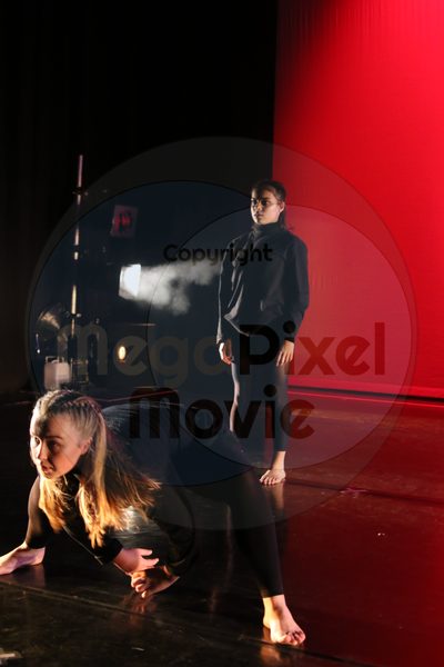 Dorothy Stringer Show - Image 5192