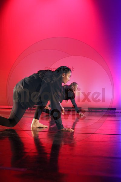 Dorothy Stringer Show - Image 5321