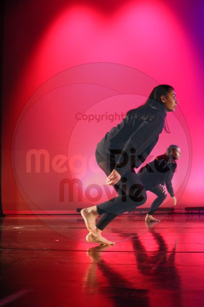 Dorothy Stringer Show - Image 5322