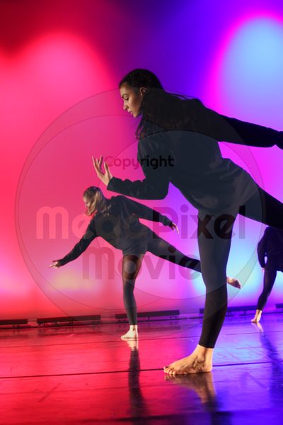 Dorothy Stringer Show - Image 5332